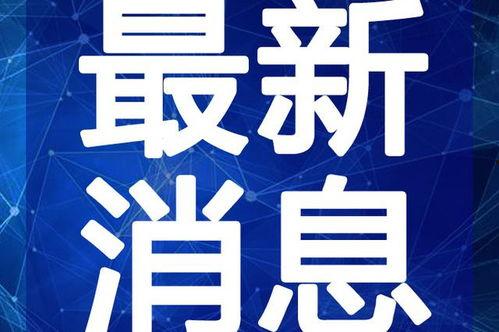 惠州蛋糕店爆料视频最新,食品安全问题引关注,消费者权益如何保障?